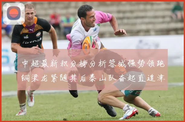 中超最新积分榜分析蓉城强势领跑铜梁龙紧随其后泰山队奋起直追津门虎仍需努力
