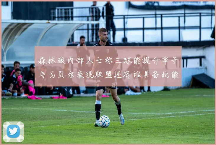 森林狼内部人士称三球能提升华子与戈贝尔表现联盟还有谁具备此能力