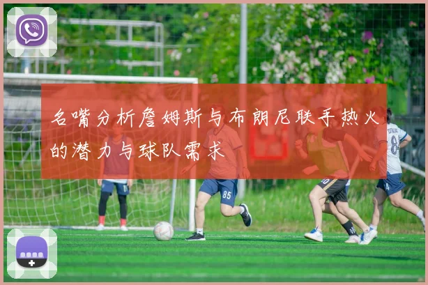 名嘴分析詹姆斯与布朗尼联手热火的潜力与球队需求
